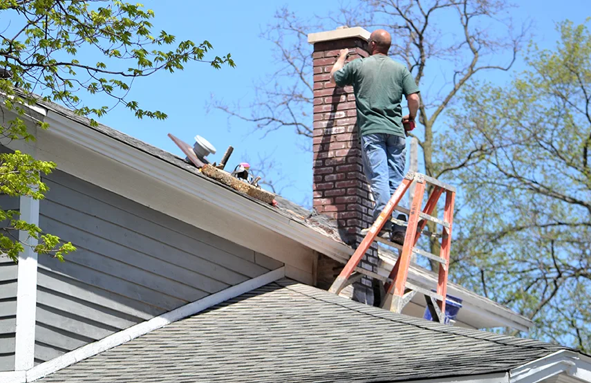 Chimney & Fireplace Inspections Services in Herndon, VA